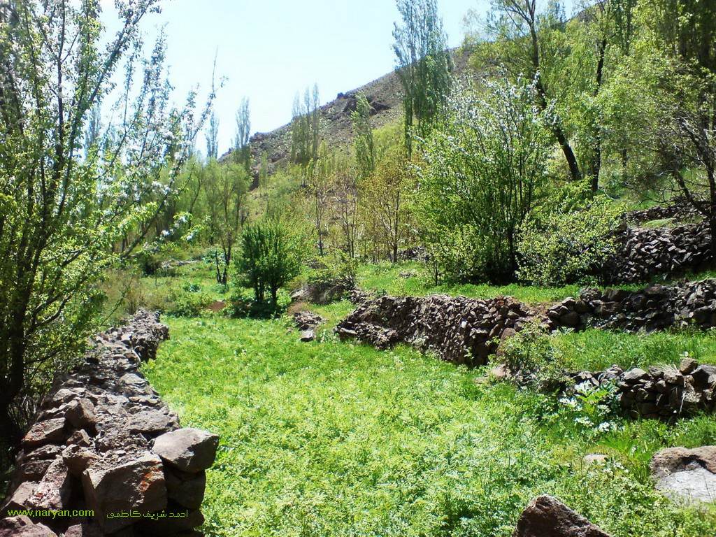 AhmadSharifKazemi1393 (16).jpg